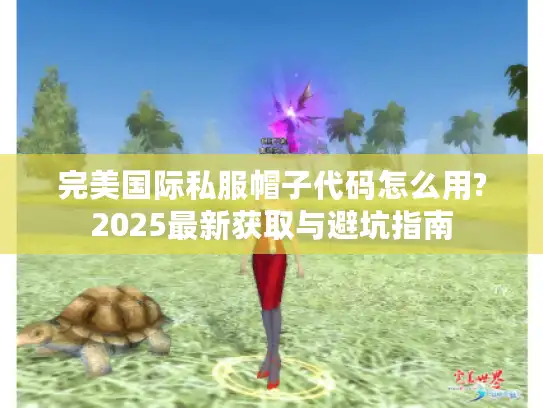 完美国际私服帽子代码怎么用?2025最新获取与避坑指南