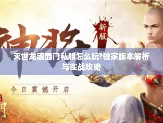 灭世龙魂蜀门私服怎么玩?独家版本解析与实战攻略