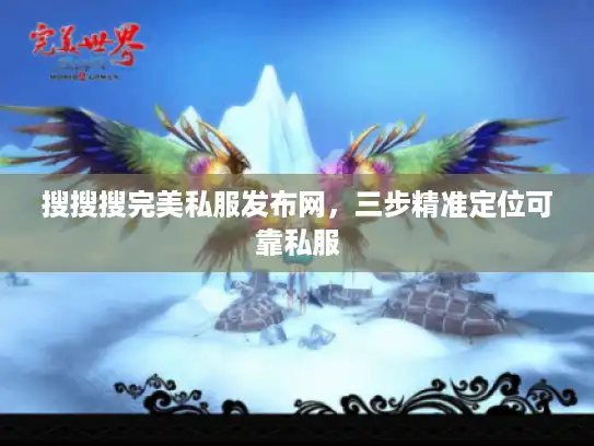 搜搜搜完美私服发布网，三步精准定位可靠私服