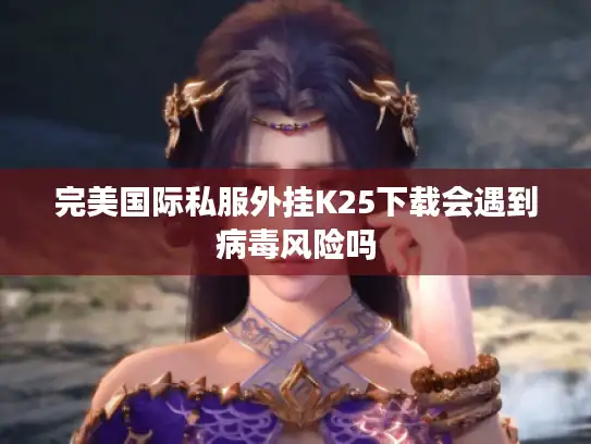 完美国际私服外挂K25下载会遇到病毒风险吗