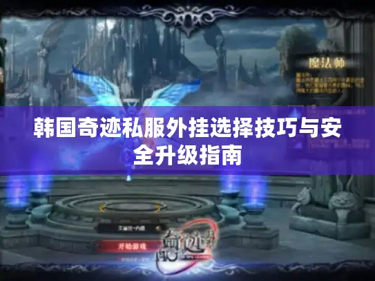 韩国奇迹私服外挂选择技巧与安全升级指南