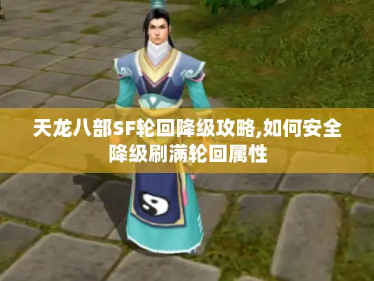 天龙八部SF轮回降级攻略,如何安全降级刷满轮回属性