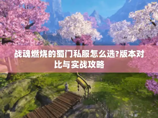 战魂燃烧的蜀门私服怎么选?版本对比与实战攻略