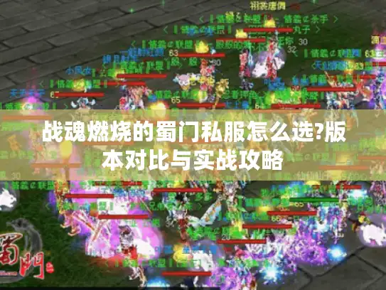 战魂燃烧的蜀门私服怎么选?版本对比与实战攻略