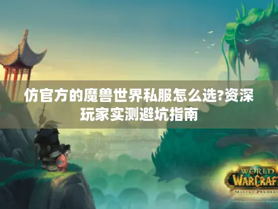 仿官方的魔兽世界私服怎么选?资深玩家实测避坑指南 仿官方的魔兽世界私服怎么选?资深玩家实测避坑指南