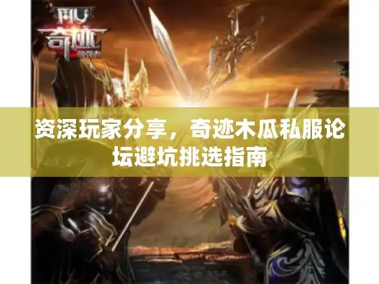 资深玩家分享，奇迹木瓜私服论坛避坑挑选指南