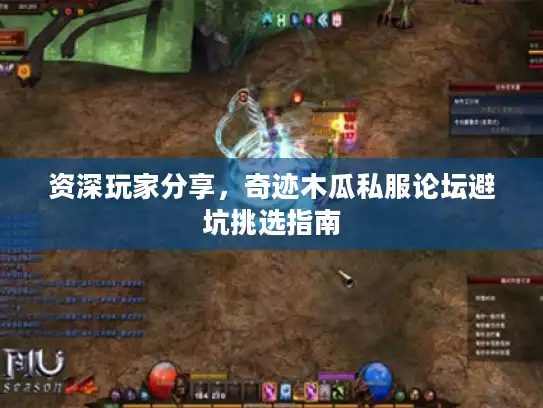 资深玩家分享，奇迹木瓜私服论坛避坑挑选指南