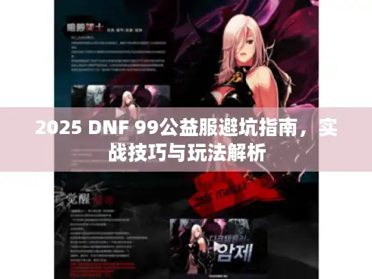 2025 DNF 99公益服避坑指南，实战技巧与玩法解析