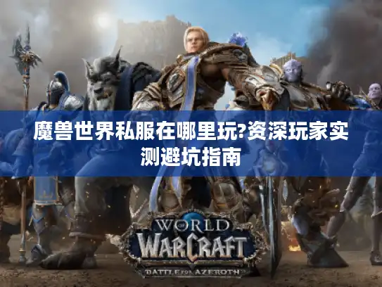 魔兽世界私服在哪里玩?资深玩家实测避坑指南 魔兽世界私服在哪里玩?资深玩家实测避坑指南