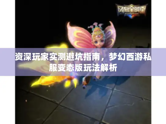 资深玩家实测避坑指南，梦幻西游私服变态版玩法解析