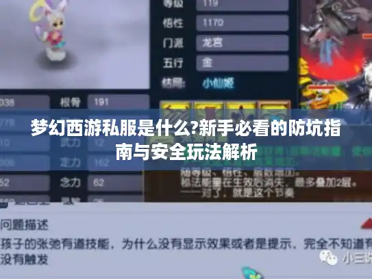 梦幻西游私服是什么?新手必看的防坑指南与安全玩法解析