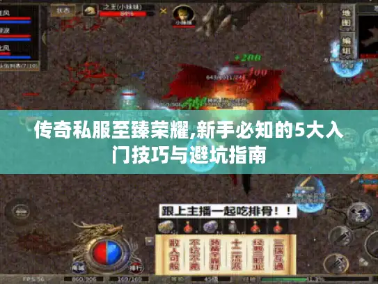 传奇私服至臻荣耀,新手必知的5大入门技巧与避坑指南 传奇私服至臻荣耀,新手必知的5大入门技巧与避坑指南