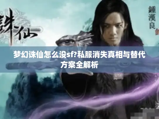 梦幻诛仙怎么没sf?私服消失真相与替代方案全解析