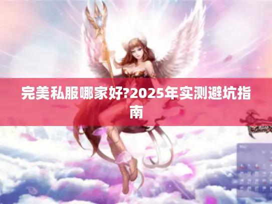 完美私服哪家好?2025年实测避坑指南