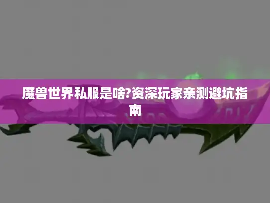 魔兽世界私服是啥?资深玩家亲测避坑指南