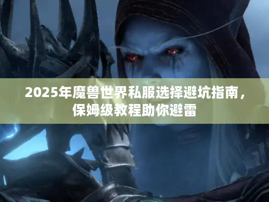2025年魔兽世界私服选择避坑指南，保姆级教程助你避雷
