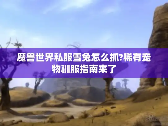 魔兽世界私服雪兔怎么抓?稀有宠物驯服指南来了 魔兽世界私服雪兔怎么抓?稀有宠物驯服指南来了