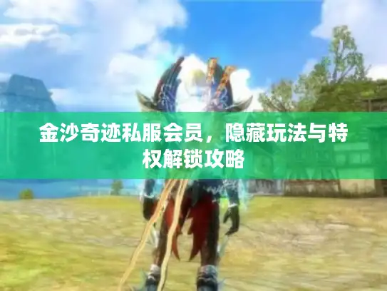金沙奇迹私服会员，隐藏玩法与特权解锁攻略