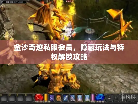 金沙奇迹私服会员，隐藏玩法与特权解锁攻略