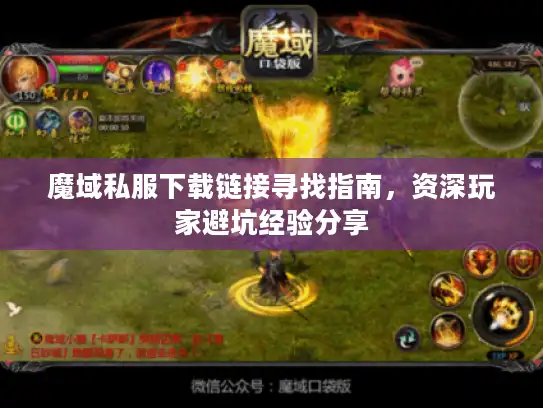 魔域私服下载链接寻找指南，资深玩家避坑经验分享