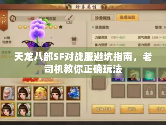 天龙八部SF对战服避坑指南,老司机教你正确玩法 天龙八部SF对战服避坑指南,老司机教你正确玩法