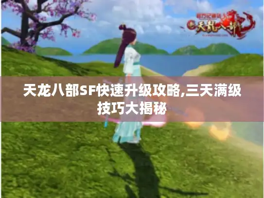 天龙八部SF快速升级攻略,三天满级技巧大揭秘