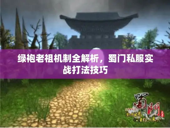 绿袍老祖机制全解析，蜀门私服实战打法技巧