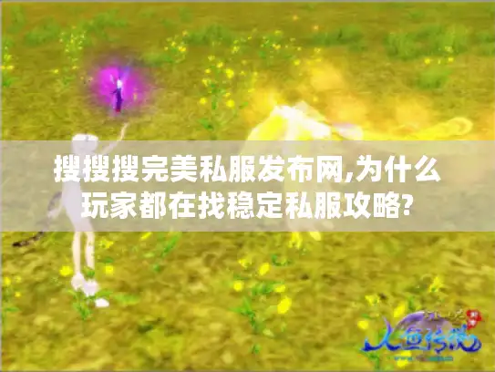 搜搜搜完美私服发布网,为什么玩家都在找稳定私服攻略?
