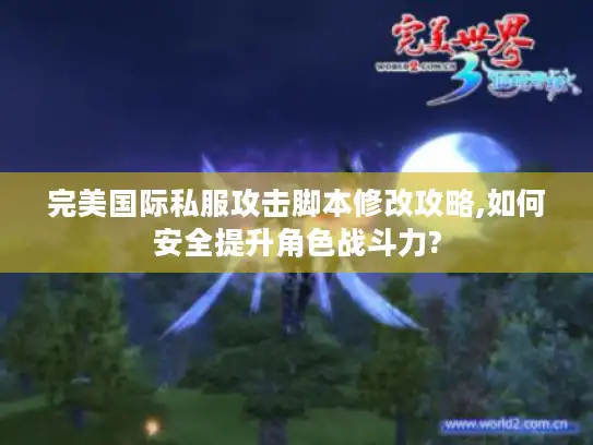 完美国际私服攻击脚本修改攻略,如何安全提升角色战斗力?