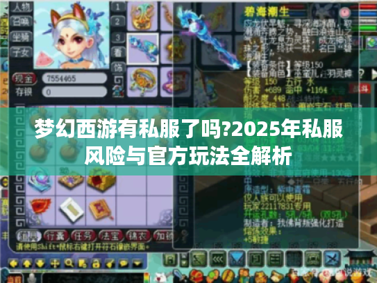 梦幻西游有私服了吗?2025年私服风险与官方玩法全解析