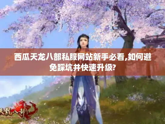 西瓜天龙八部私服网站新手必看,如何避免踩坑并快速升级?
