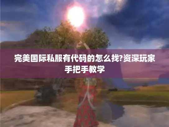完美国际私服有代码的怎么找?资深玩家手把手教学