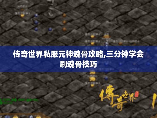 传奇世界私服元神魂骨攻略,三分钟学会刷魂骨技巧 传奇世界私服元神魂骨攻略,三分钟学会刷魂骨技巧