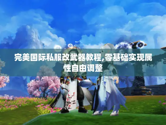 完美国际私服改武器教程,零基础实现属性自由调整