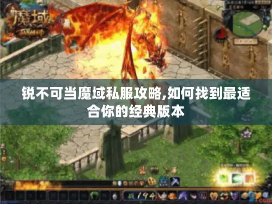 锐不可当魔域私服攻略,如何找到最适合你的经典版本