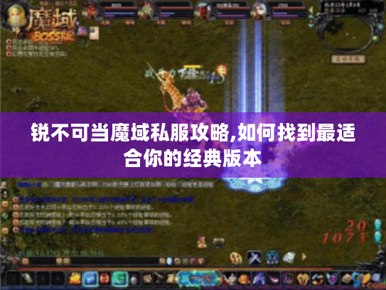 锐不可当魔域私服攻略,如何找到最适合你的经典版本