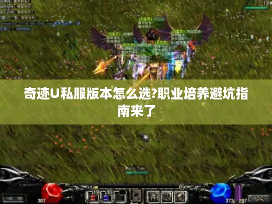 奇迹U私服版本怎么选?职业培养避坑指南来了 奇迹U私服版本怎么选?职业培养避坑指南来了