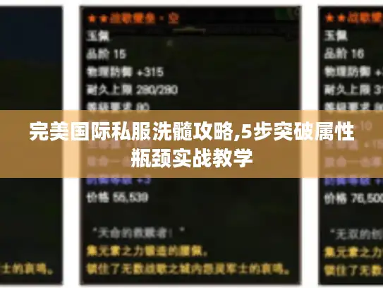 完美国际私服洗髓攻略,5步突破属性瓶颈实战教学