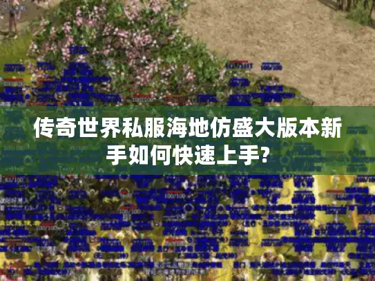 传奇世界私服海地仿盛大版本新手如何快速上手? 传奇世界私服海地仿盛大版本新手如何快速上手?