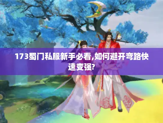 173蜀门私服新手必看,如何避开弯路快速变强?