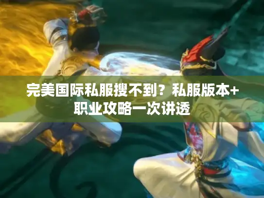 完美国际私服搜不到？私服版本+职业攻略一次讲透