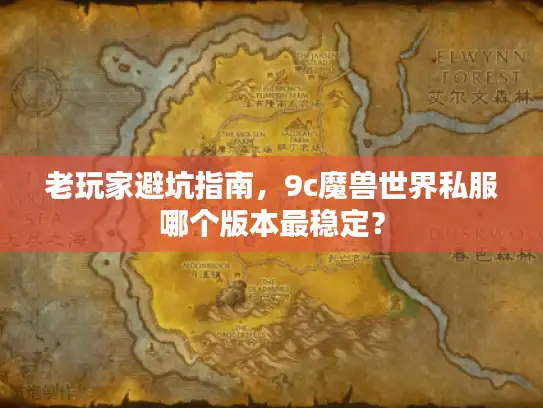 老玩家避坑指南,9c魔兽世界私服哪个版本最稳定? 老玩家避坑指南,9c魔兽世界私服哪个版本最稳定?