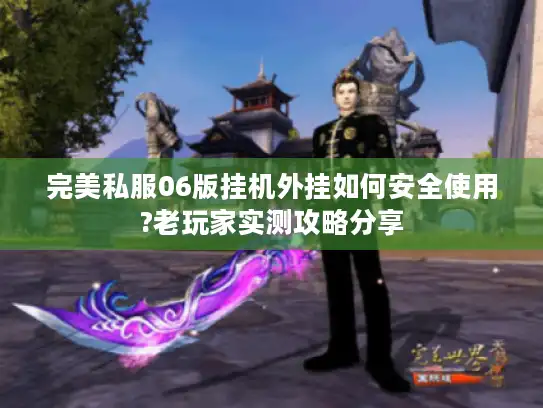 完美私服06版挂机外挂如何安全使用?老玩家实测攻略分享