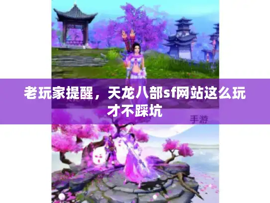 老玩家提醒，天龙八部sf网站这么玩才不踩坑