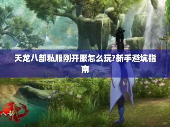 天龙八部私服刚开服怎么玩?新手避坑指南