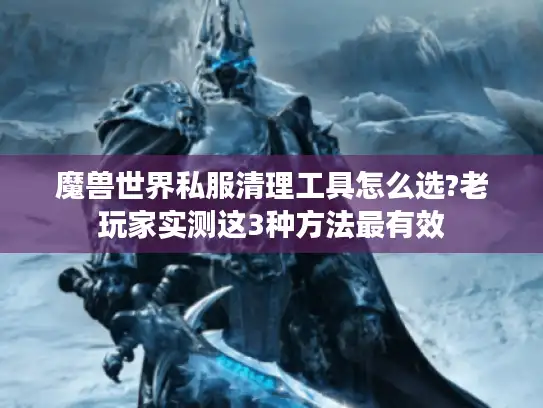 魔兽世界私服清理工具怎么选?老玩家实测这3种方法最有效 魔兽世界私服清理工具怎么选?老玩家实测这3种方法最有效