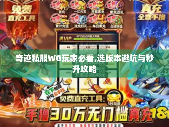 奇迹私服WG玩家必看,选版本避坑与秒升攻略