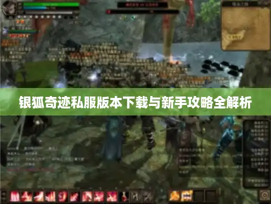 银狐奇迹私服版本下载与新手攻略全解析