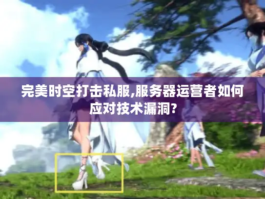 完美时空打击私服,服务器运营者如何应对技术漏洞?