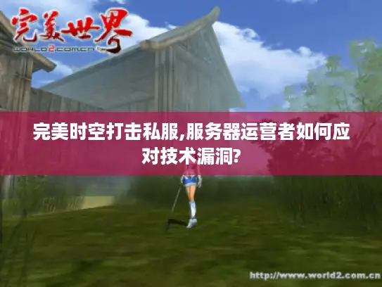 完美时空打击私服,服务器运营者如何应对技术漏洞?